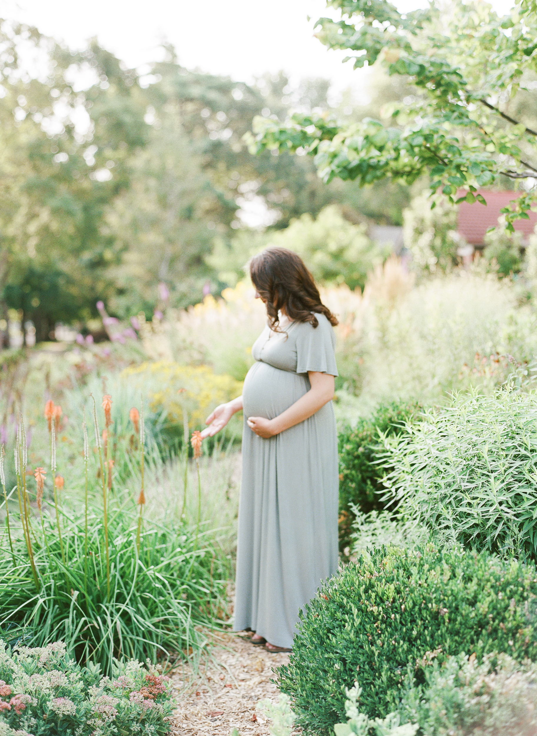 Kansas-City-Maternity-Photography-Kansas-City-Film-Photographer-Kansas-City-Maternity-Photographer-Kansas-City-Summer-Garden-Maternity-Session-Alissa-Bird-Portraits-4