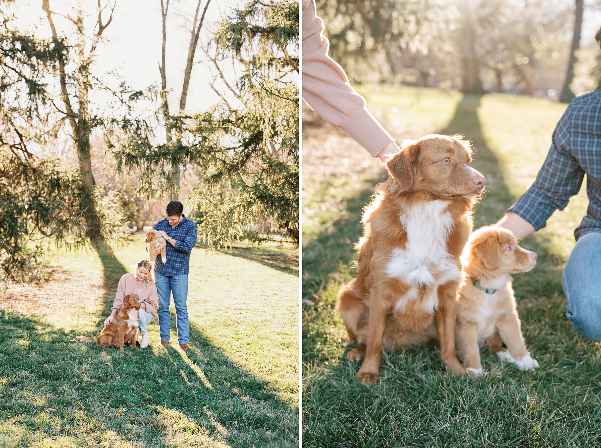 2 - Newlyweds with their new Toller puppy Kansas City Family Photographer