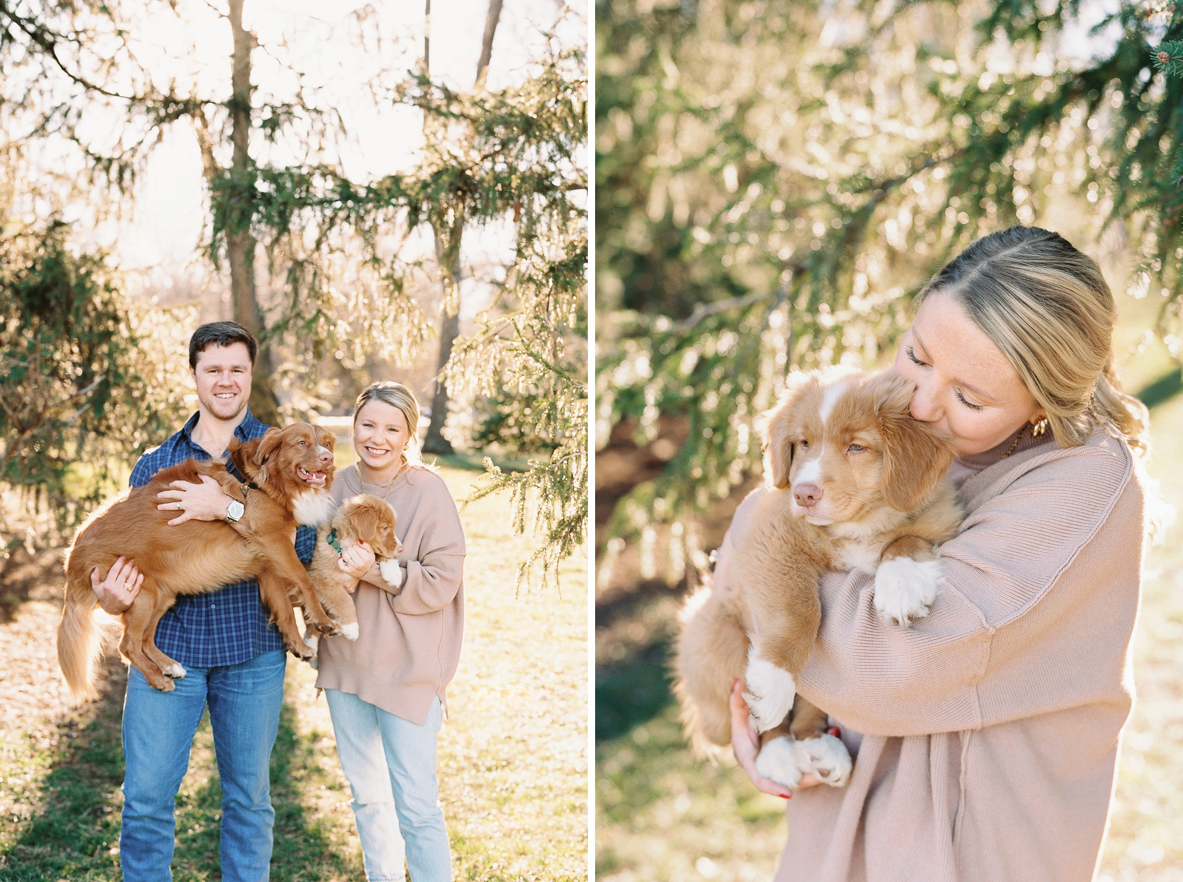 3 - Kansas City Family photography with new Nova Scotia duck tolling retriever puppy