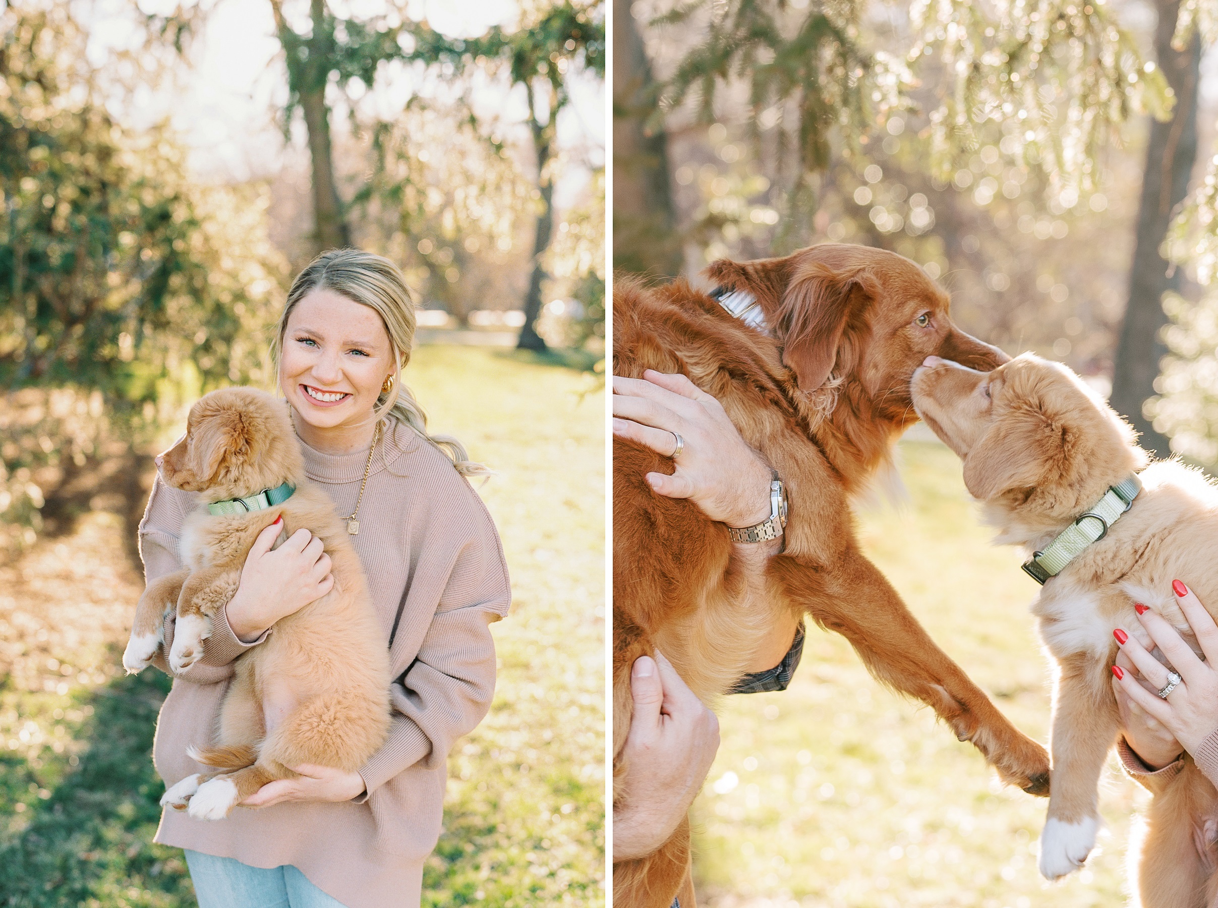 4 - Kansas City Family photos with new Nova Scotia duck tolling retriever puppy