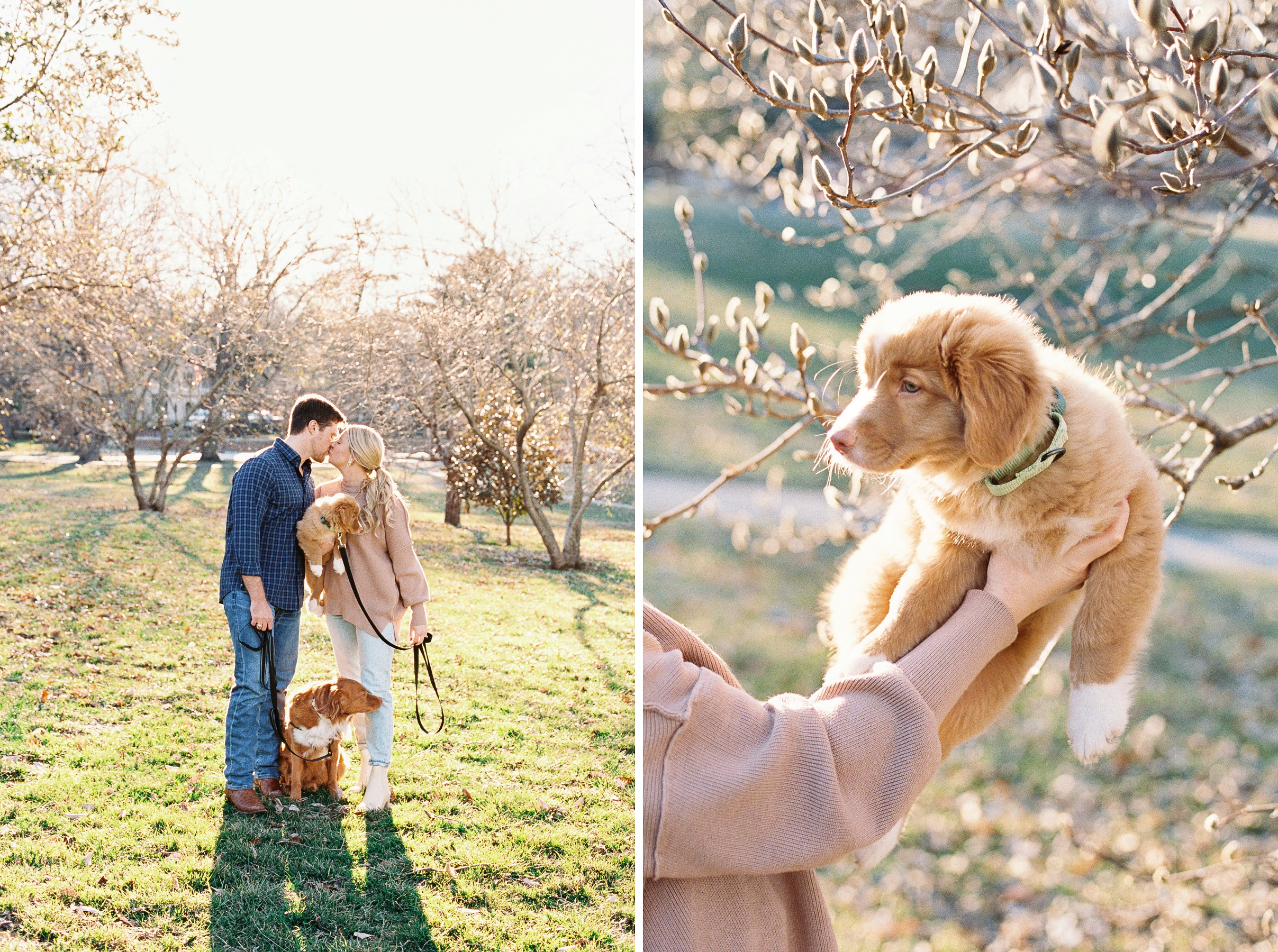 6 - Kansas City Spring Family photos with new Nova Scotia duck tolling retriever puppy