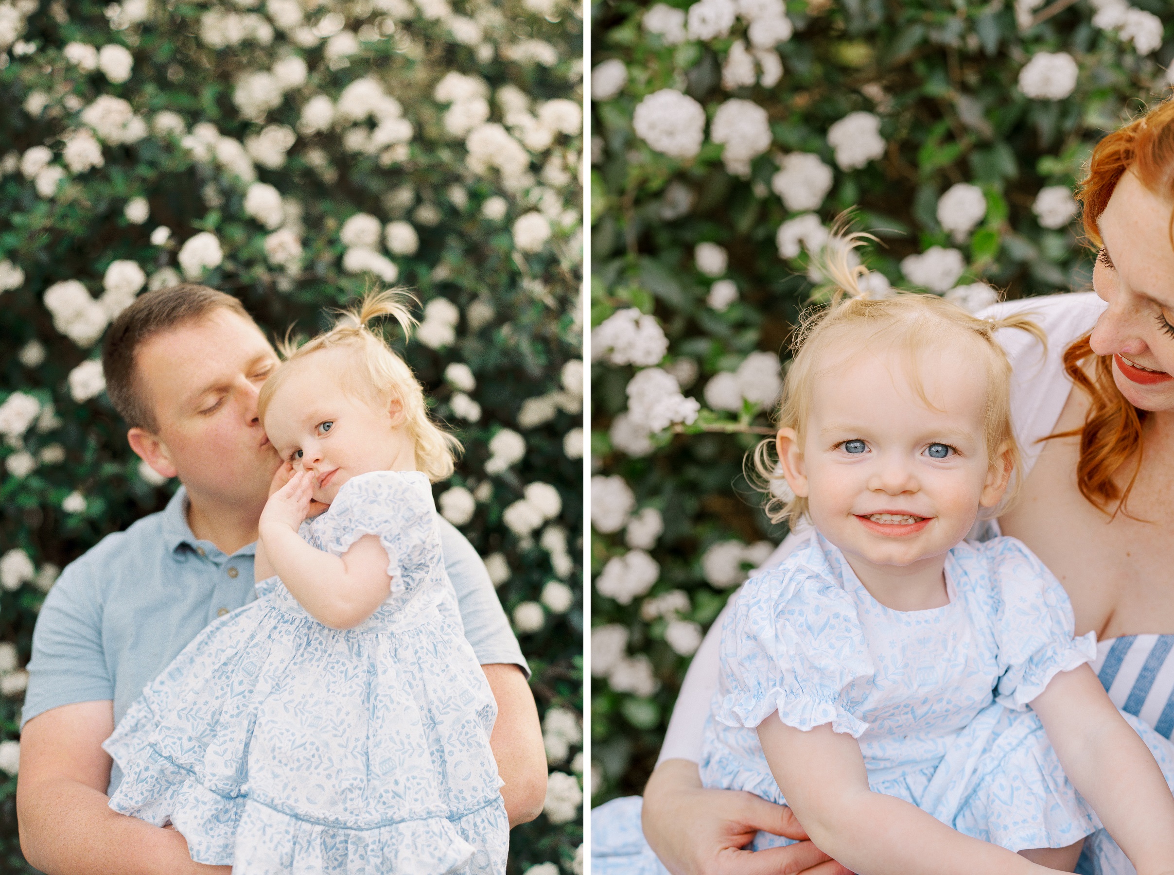 10-Kansas-City-Family-Photography-Spring-blooms-photos-in-KC-2-year-old-daughter-with-parents