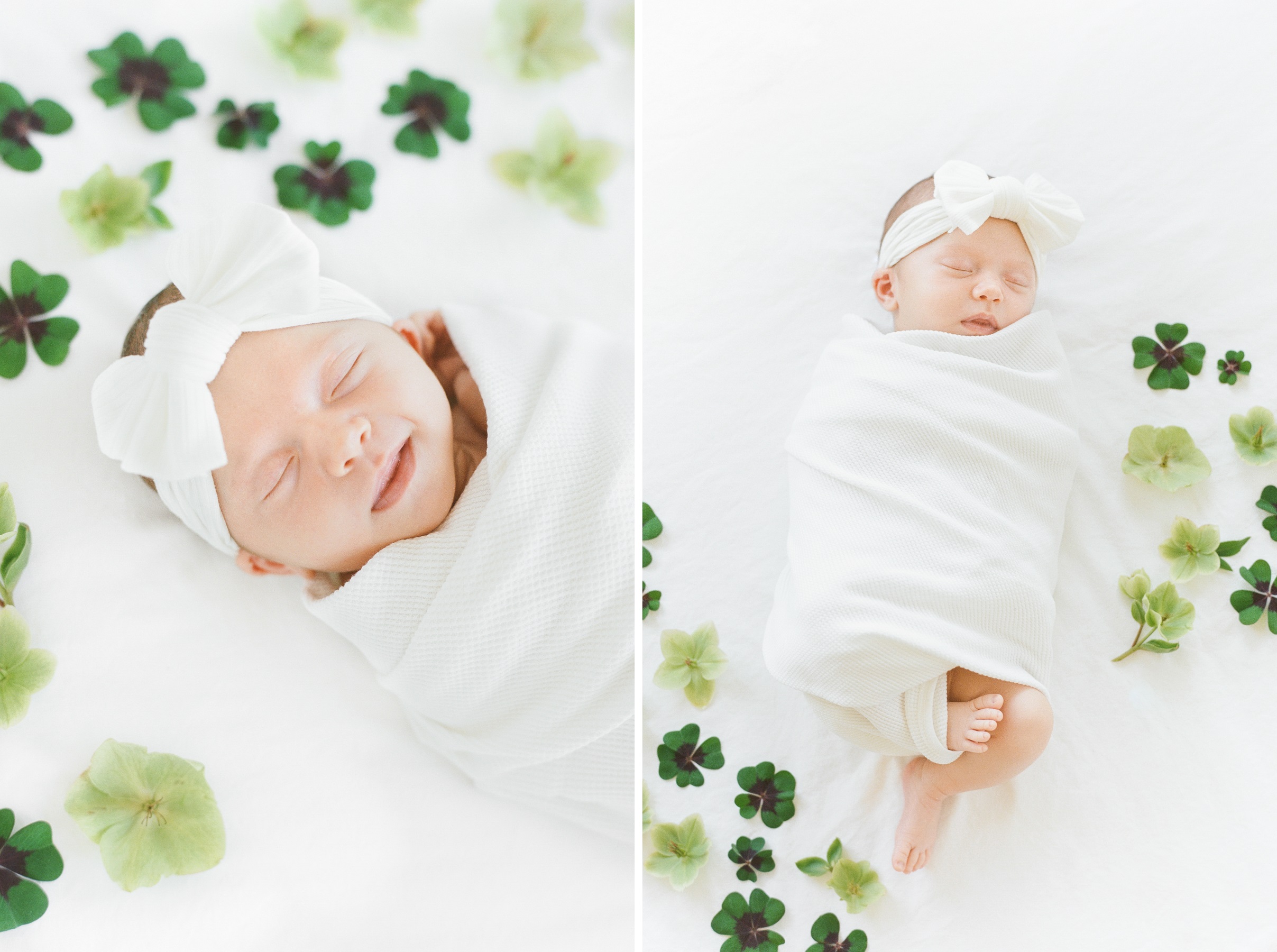 Film photos of newborn girl in white swaddle and bow surrounded by shamrocks and hellebores to celebrate her March birthday by Kansas City Newborn Photographer Alissa Bird Portraits